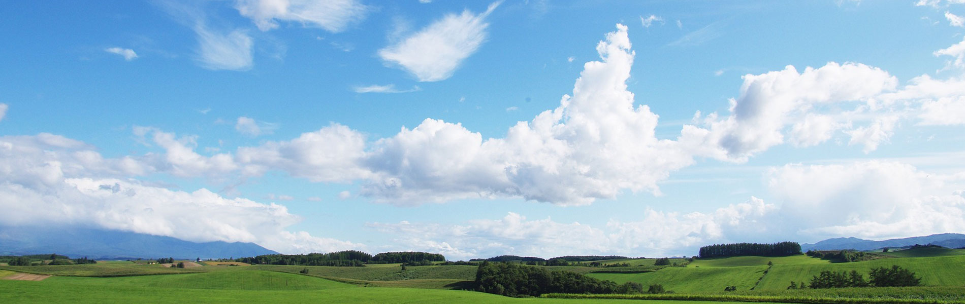 株式会社ウェルストンは包装資材を扱う企業です
